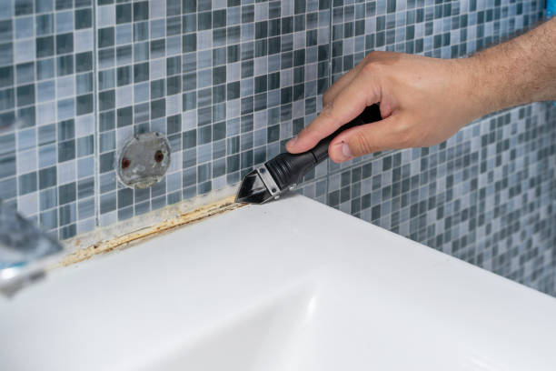Best DIY Mold Remediation Support Services in Bridgeville, DE